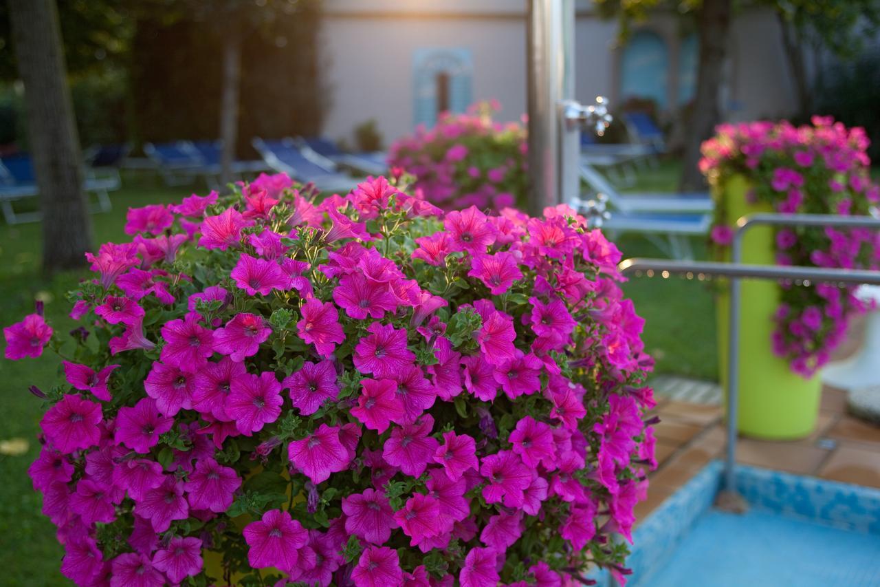 Hotel Terme Cristoforo アーバノ・テルメ エクステリア 写真